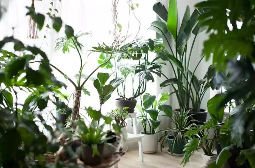 小夫妻98㎡家意外走红!登北京地铁广告,这个家才是都市里的奢侈