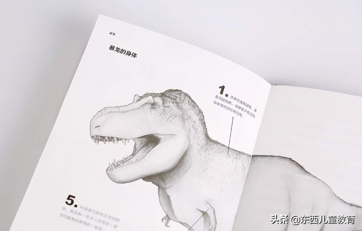 科学家发现喜欢恐龙的娃更聪明,为什么痴迷恐龙的孩子更聪明