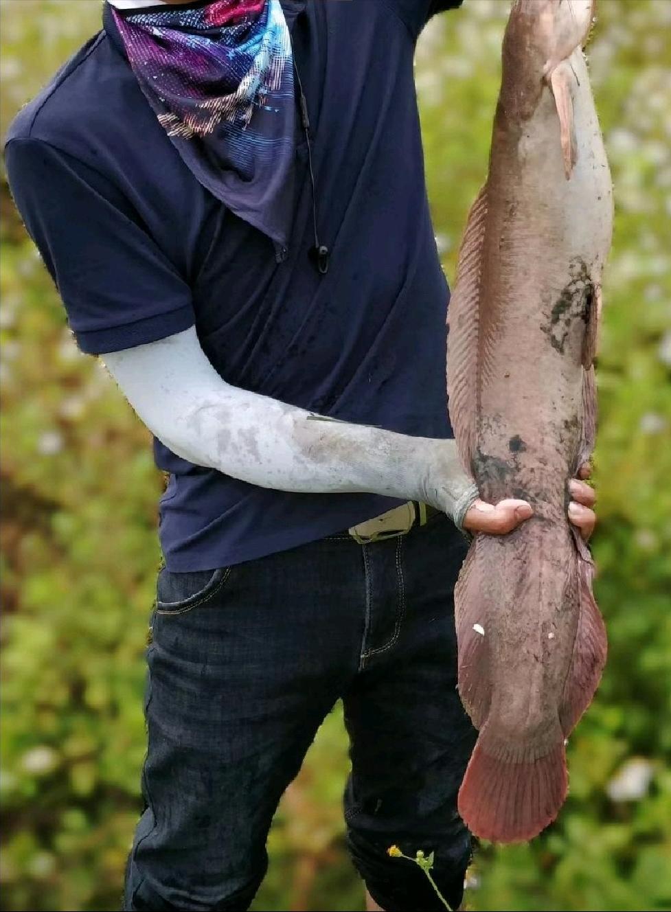 广东湛江大鱼,湛江水库钓大鱼