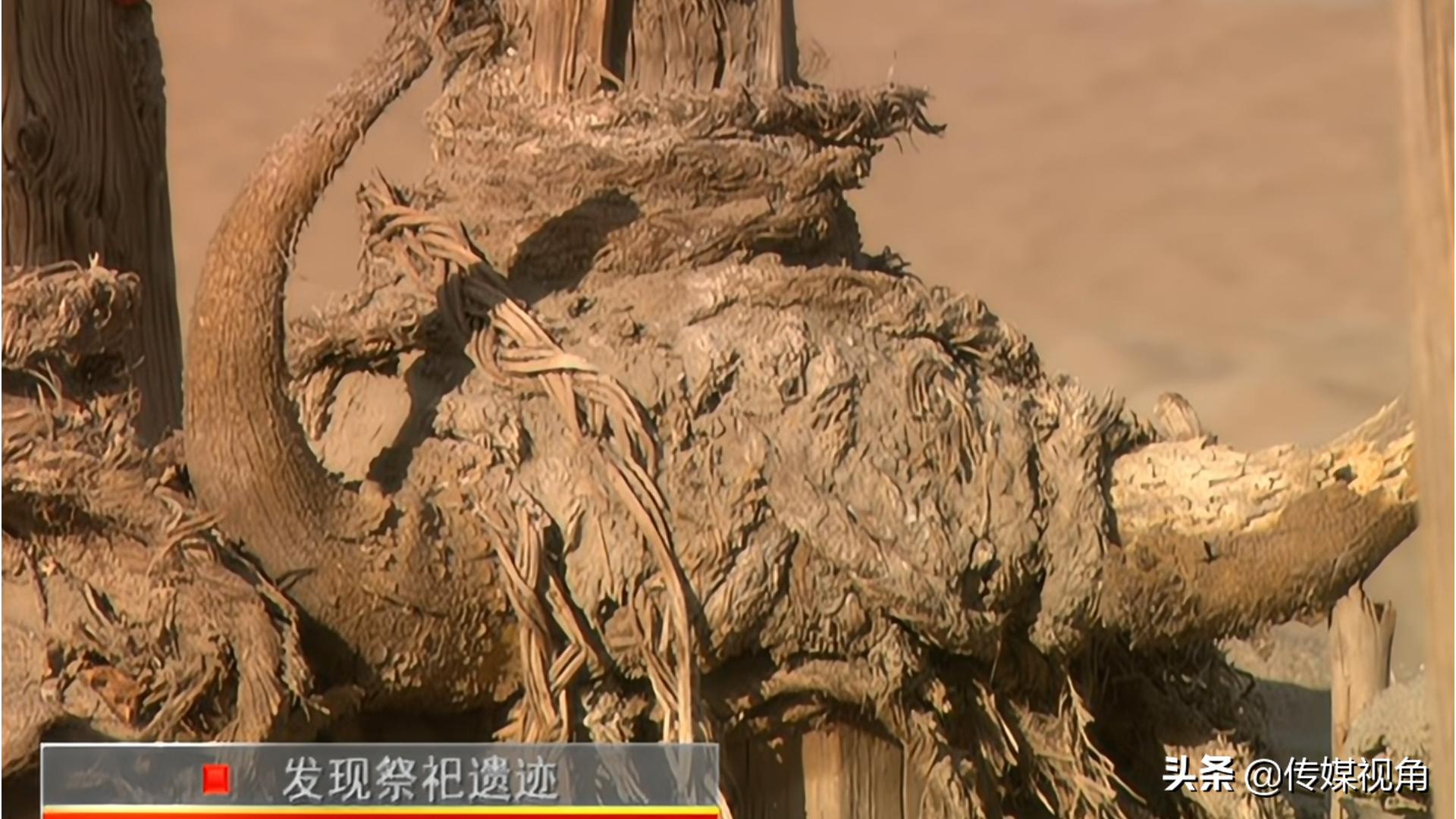 小河墓地所有尸骨样子,小河墓地被正式挖掘