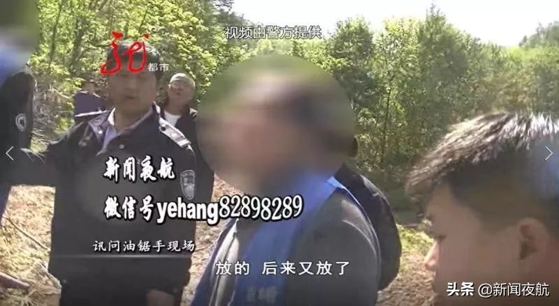 派出所现场查获一起盗伐林木案件,公安破获一起盗伐林木案件
