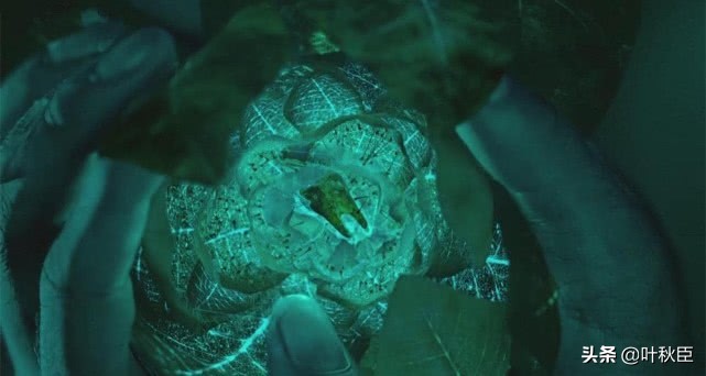 豆瓣9.9分以上的电影,豆瓣评分9.5以上的电影在线看