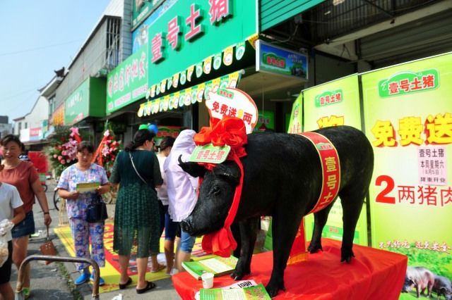 抛弃“铁饭碗”，养猪年入18亿，解密北大才子的另类创业路