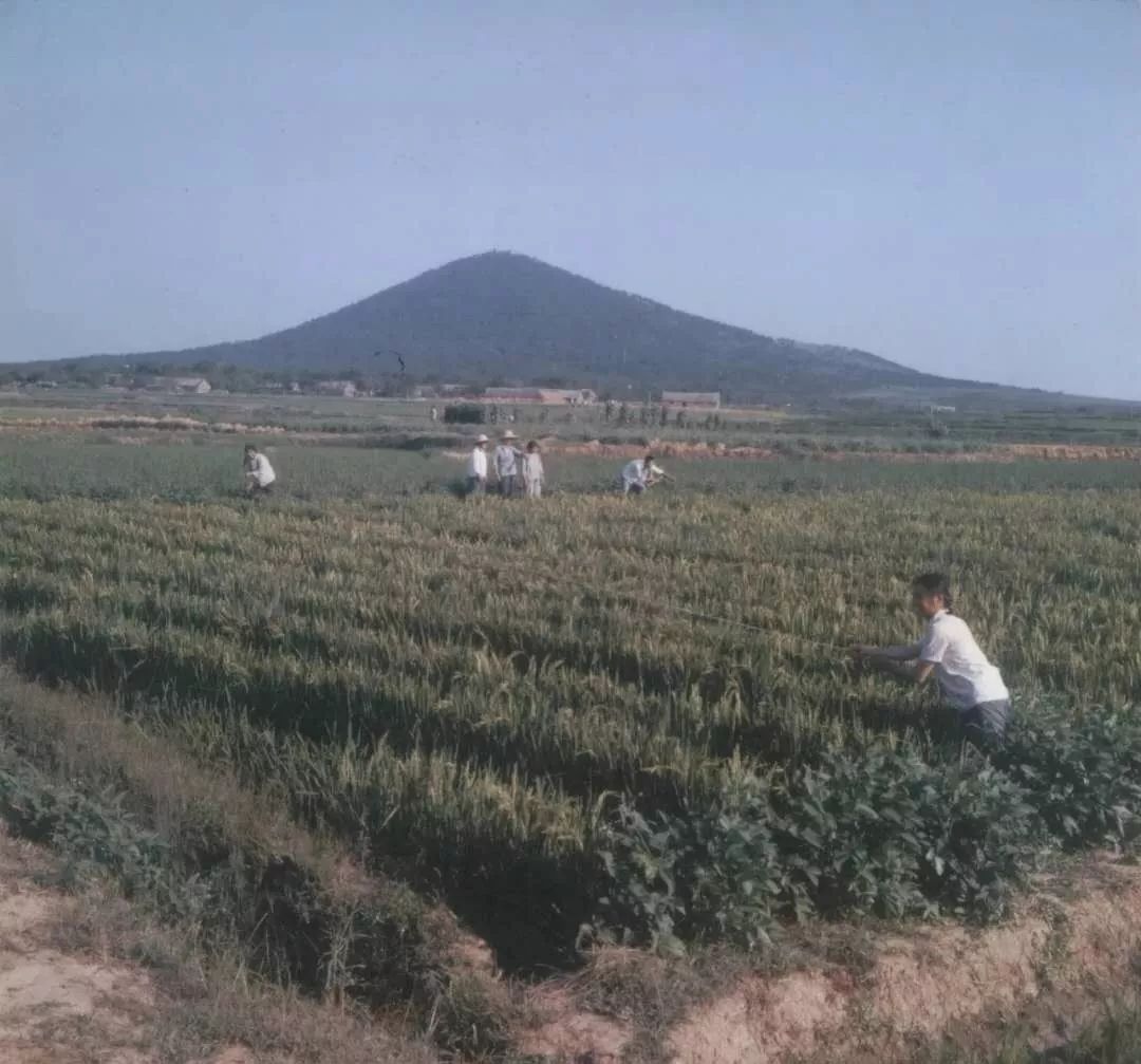 大蜀山,大蜀山爱情故事