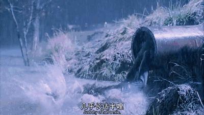 五部高分越狱电影,豆瓣评分9.4越狱电影