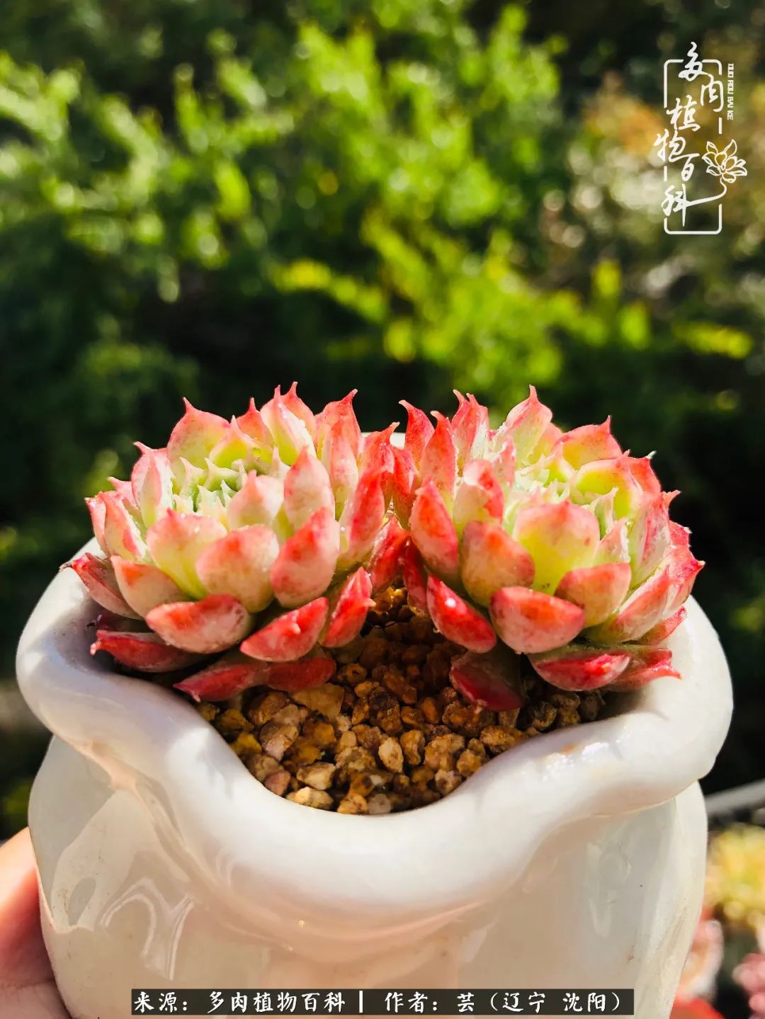 万物皆有灵性有因必有果,万物皆有灵性与生命