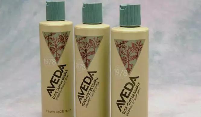 对于可持续发展的个人见解,可持续发展是否真的可持续