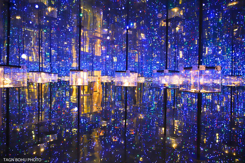 衢州飞越丛林探险乐园,浙江衢州深山