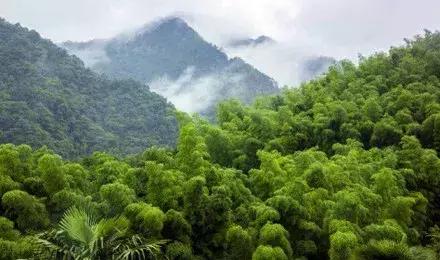 中国人最爱去的马尔代夫,马尔代夫一生必去的十个地方