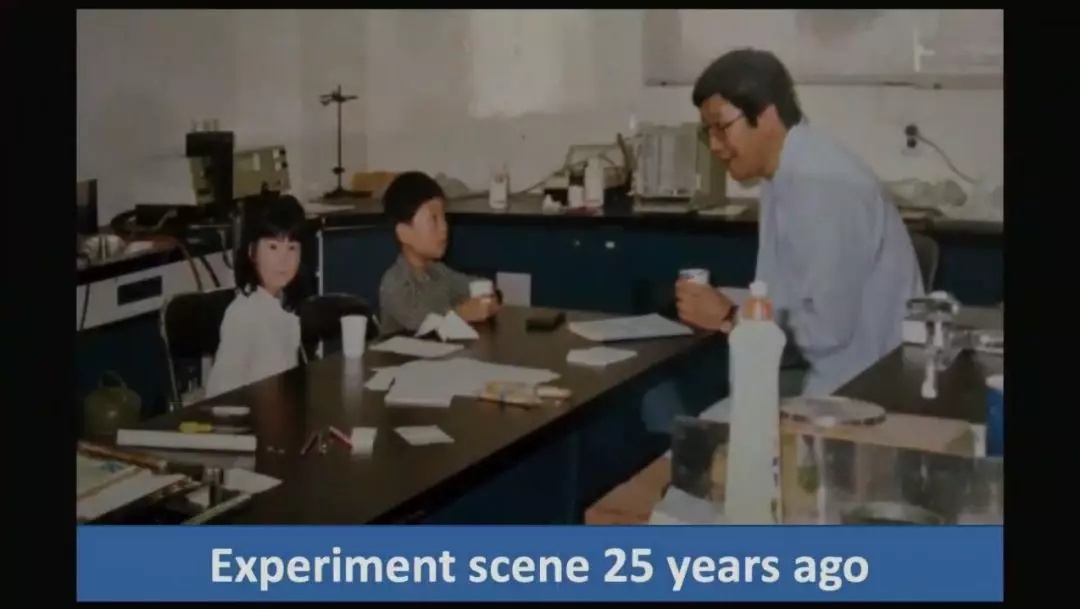 那些奇葩的诺贝尔奖,有趣的诺贝尔奖视频