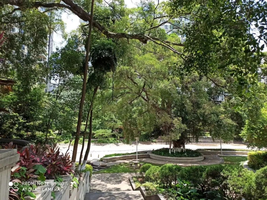 怎样弄掉游戏限制,想玩游戏怎样克服