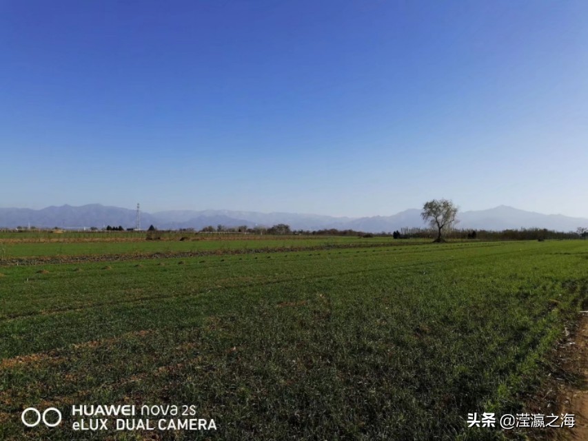 我和我同桌女生版,我和我的同桌样貌不一样