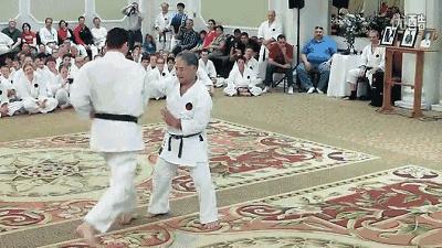 空手道基本功gif,空手道gif