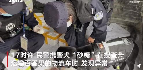 警犬发现百香果里藏毒,百香果藏毒被警犬发现