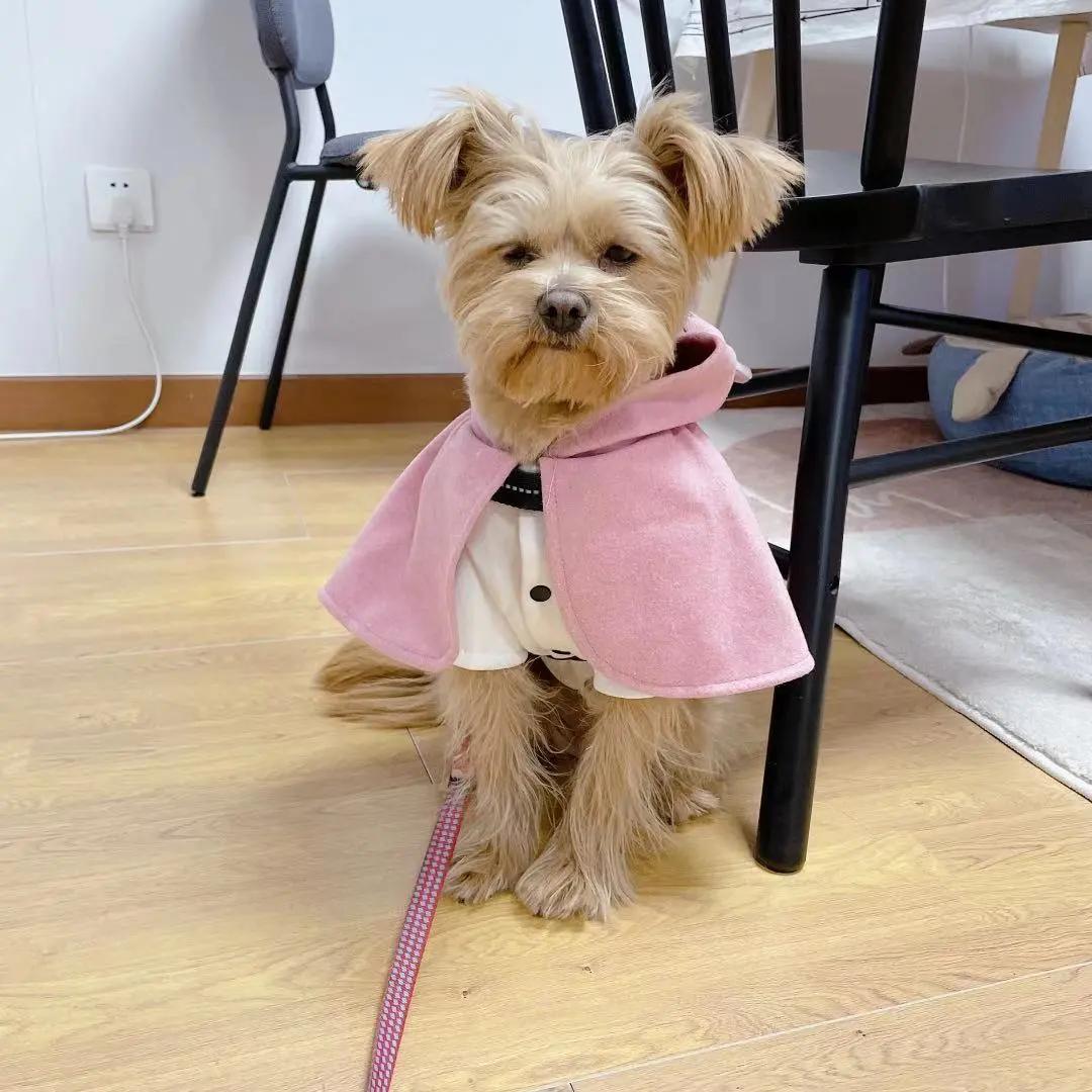 男生猛犬穿女装,男生细狗穿女装