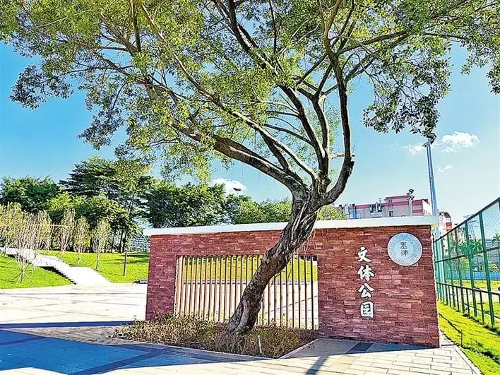 深圳新添大型高颜值公园,深圳最近新开放的公园