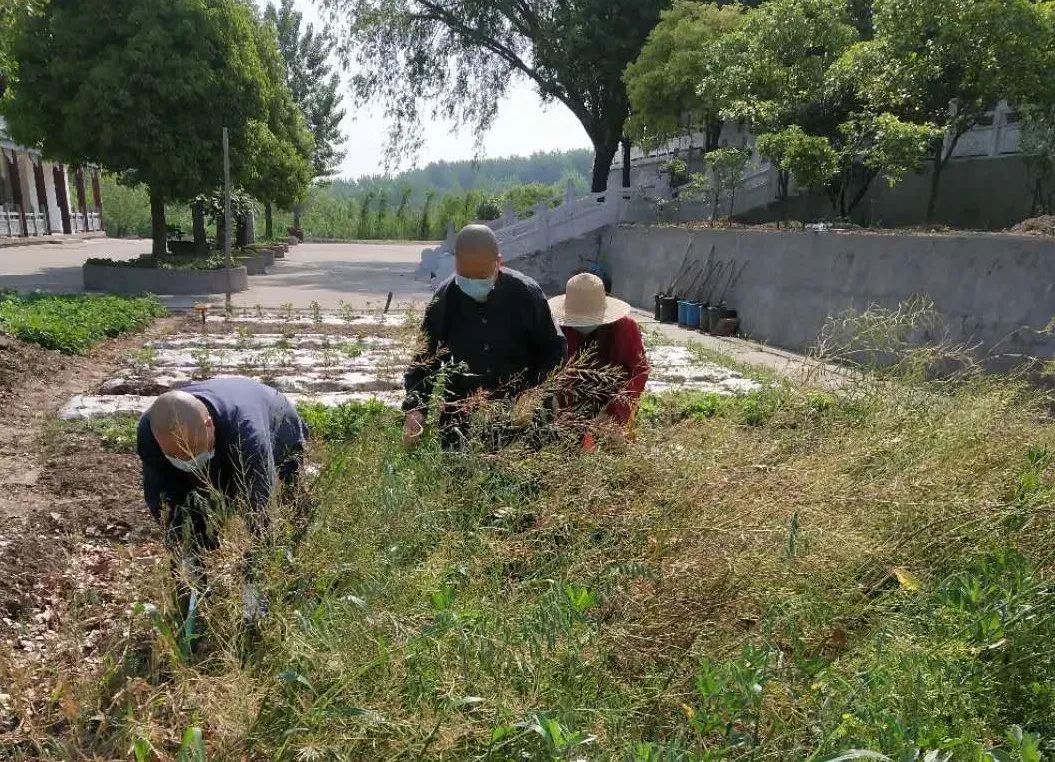 抢抓农时开展农业生产,农民纷纷抢抓春耕生产有利时机