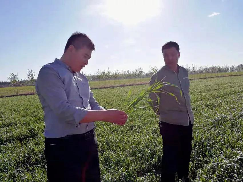 呼伦贝尔好客草原私人牧场,呼伦贝尔著名草原