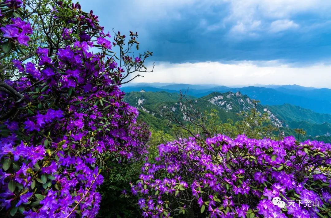 “5.19”|遇见尧山,发现生活之美