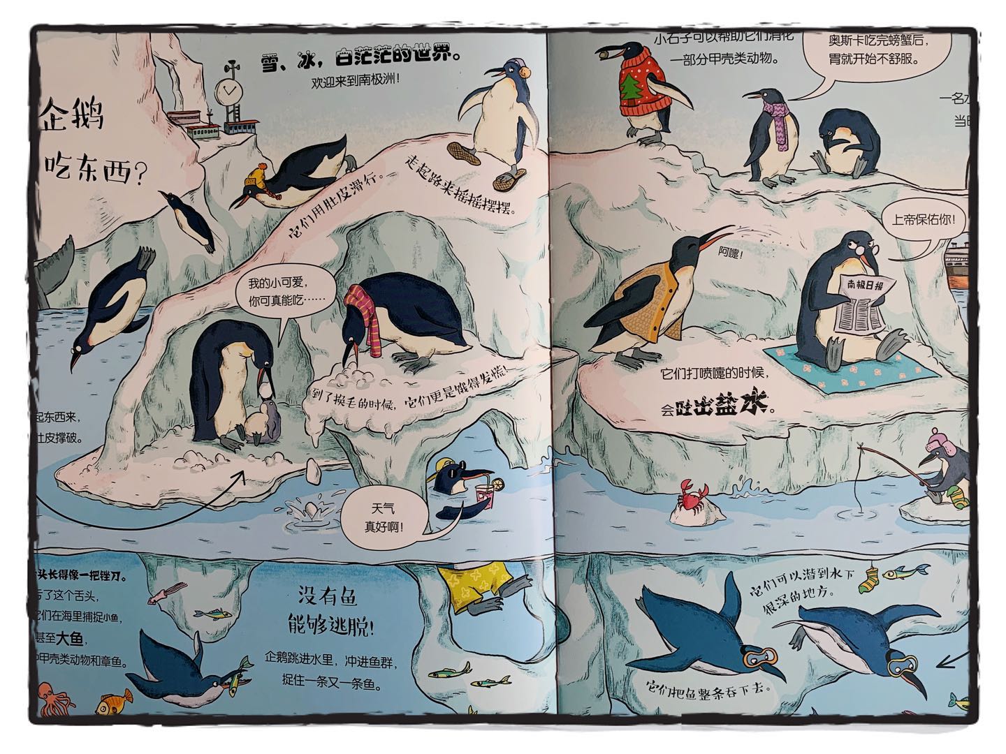 一起来观看动物界的“吃播”吧