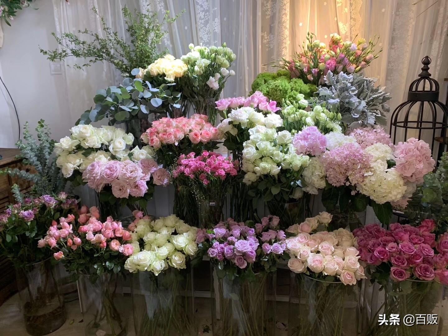 打造森系花房,闹市中的私家庭院花房