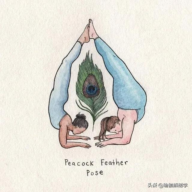 100张户外瑜伽唯美图片,各种动物瑜伽姿势图片