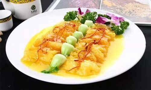 鱼胶知识大全视频,最全常识看完涨知识