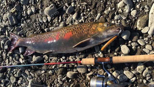 俄罗斯钓鱼为什么那么难钓,俄罗斯人钓鱼方法大全