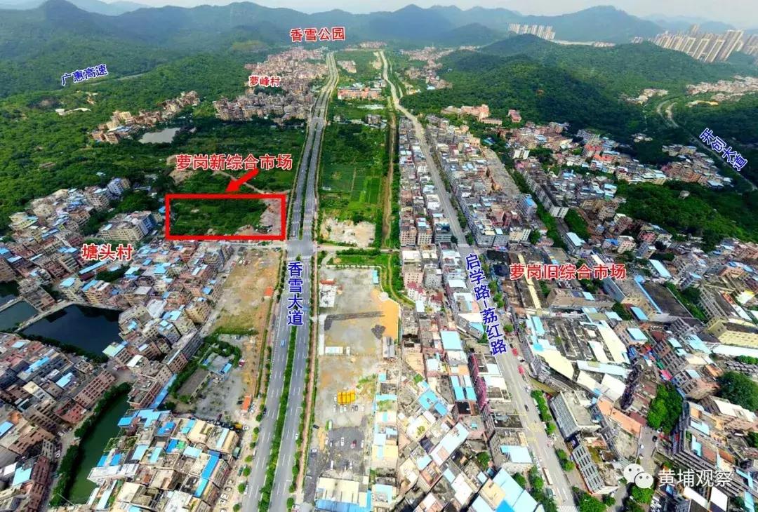 广州市萝岗农贸批发综合市场,广州黄埔区萝岗农贸市场