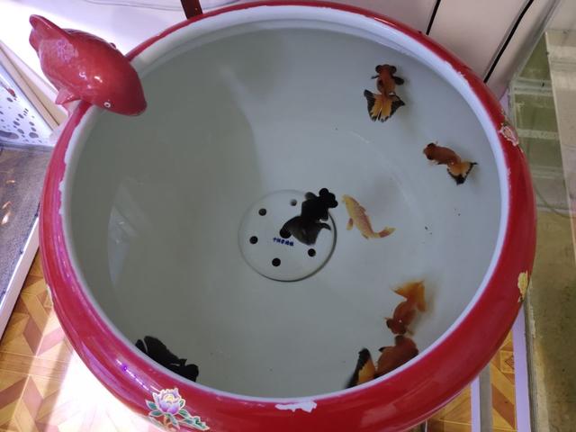 怎样去除鱼缸内壁污物,鱼缸底部脏东西循环不出去怎么弄