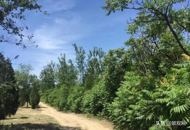 自然生态休闲公园设计案例,十大城市公园景观设计案例