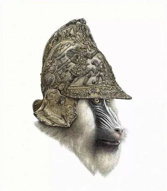 超好看的素描静物,超级惊艳的素描画