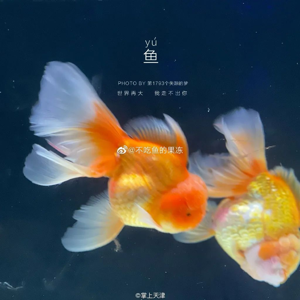 天津海昌极地海洋世界年票,天津海昌极地海洋99票价真实性