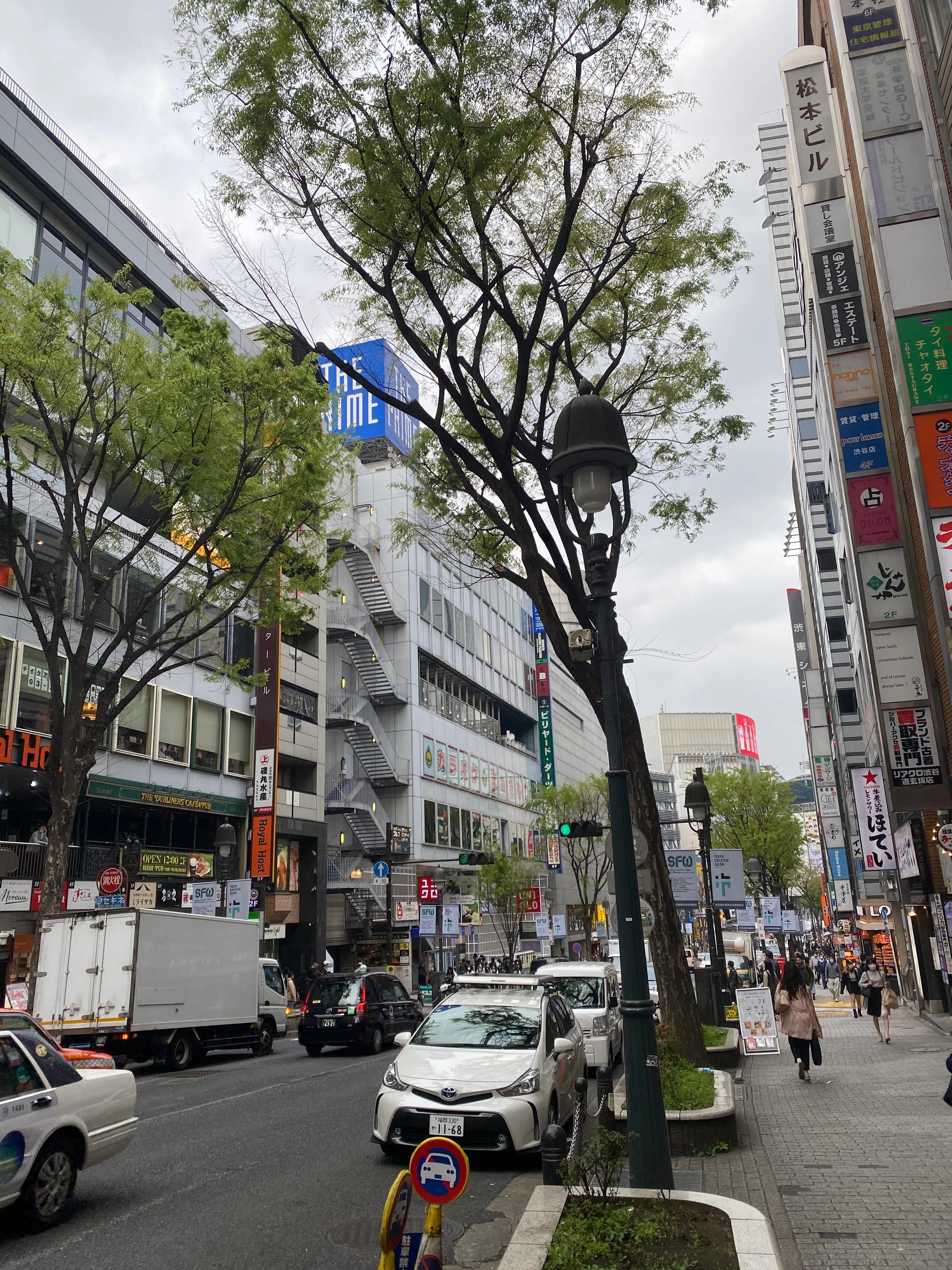 日本综合实力最强的9所大学，在日本名牌大学毕业一定好找工作吗