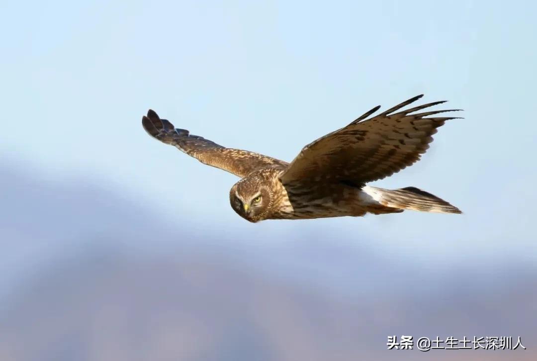 冷门地名生僻字,地名生僻字