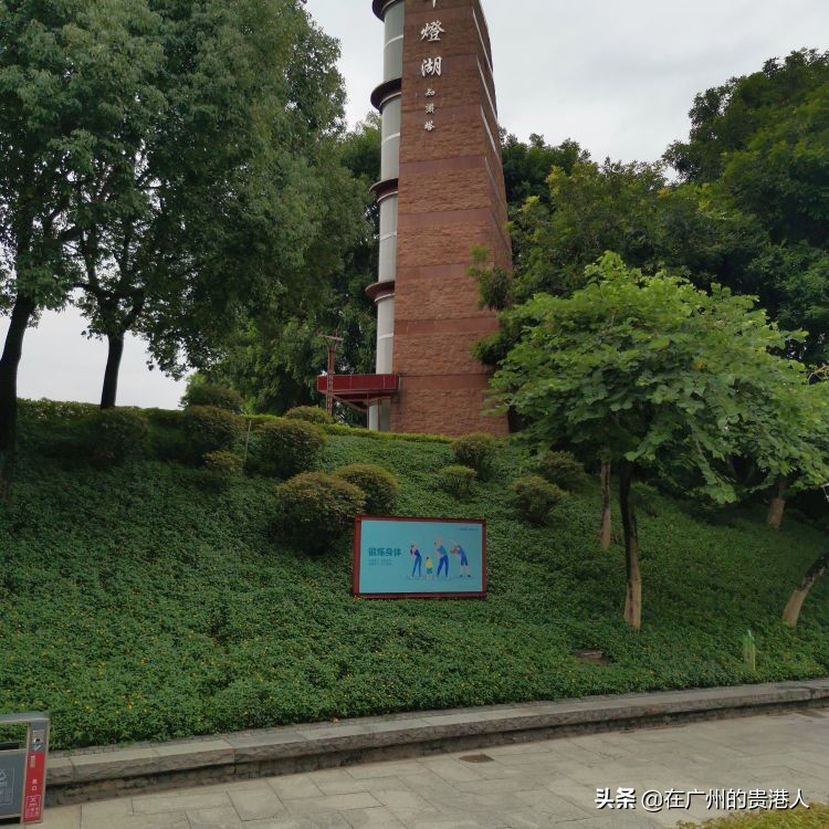 南海顺德为什么并入佛山,南海新区撤区影响