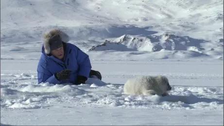 这6部电影足以秒杀大部分电影,十部必看旅行纪录片人文纪录片