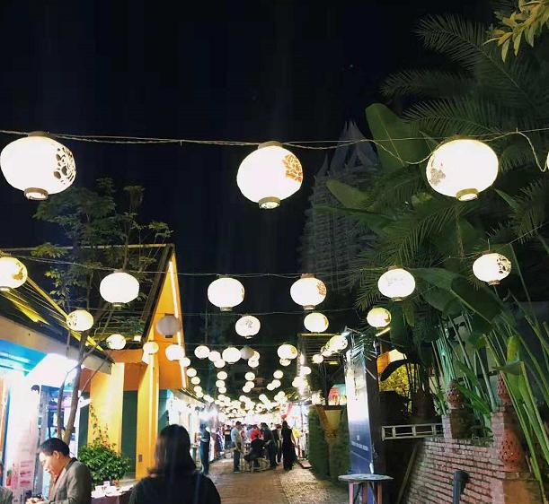 西双版纳热带雨林就是原始森林吗,西双版纳离城区近的原始沟谷雨林