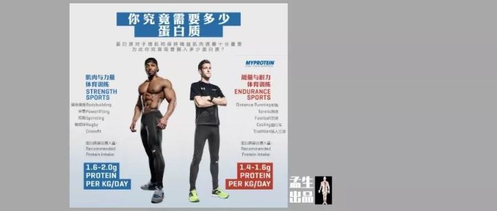 白蛋粉的作用和危害外用,蛋白粉与蛋白质粉功效一样吗