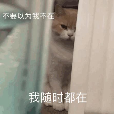 改密码时新密码不能与旧密码相同,密码锁重置密码后怎样设置新密码