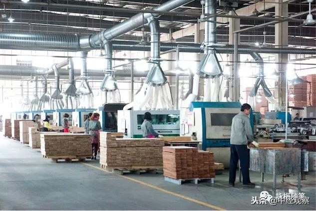 寻商，浔商——无木生财崛起绿色产业「三」