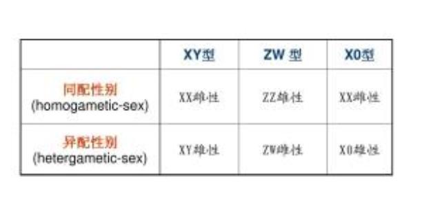 无性生殖到有性生殖的进化,无性繁殖和有性生殖的优点和缺点