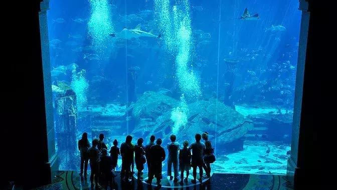 去迪拜亚特兰蒂斯酒店的感受,迪拜亚特兰蒂斯酒店有多壕