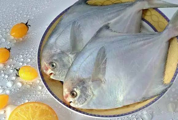 史上最全面的海鲜大咖,史上最全海鲜视频