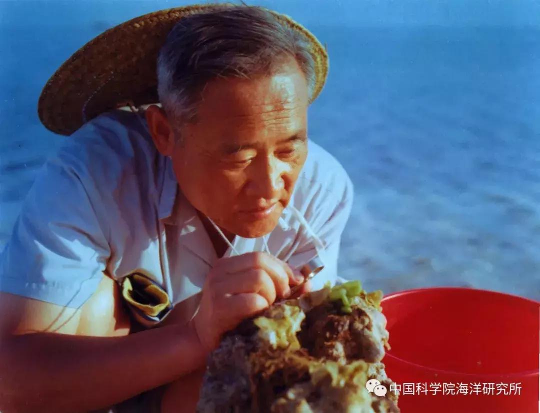 海洋渔业科学与技术排名,海洋科技所