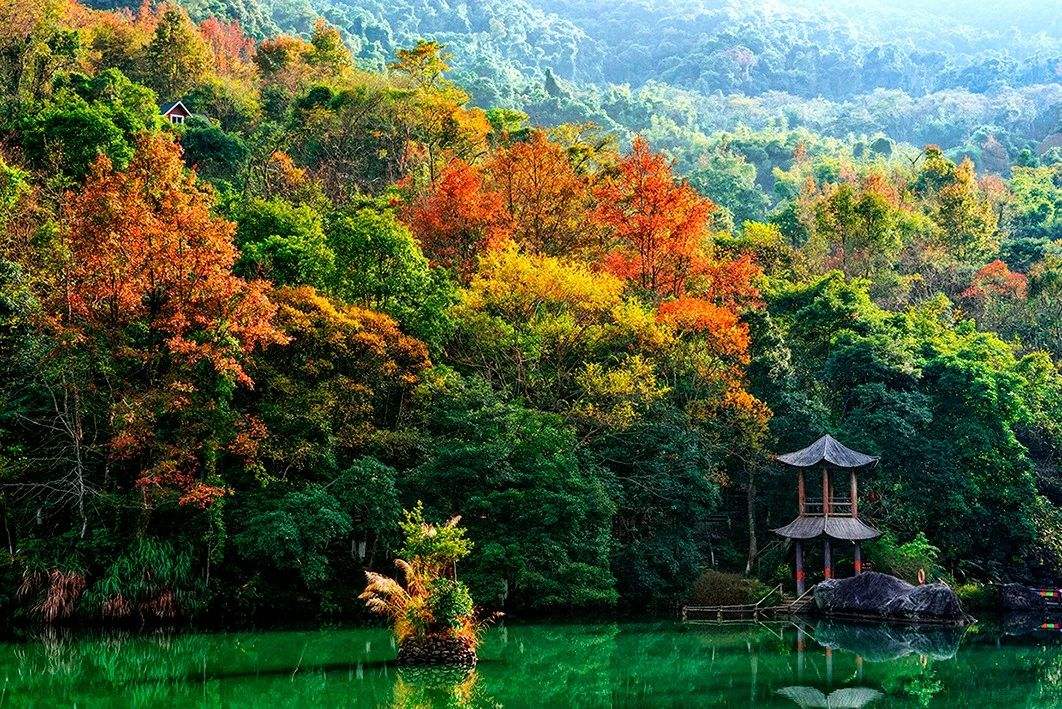 河源万绿湖自驾环湖攻略,广东省河源万绿湖自驾游攻略