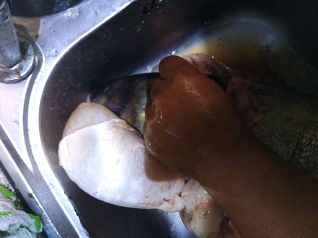 高手在民间钓鲤鱼,高手在民间大鱼