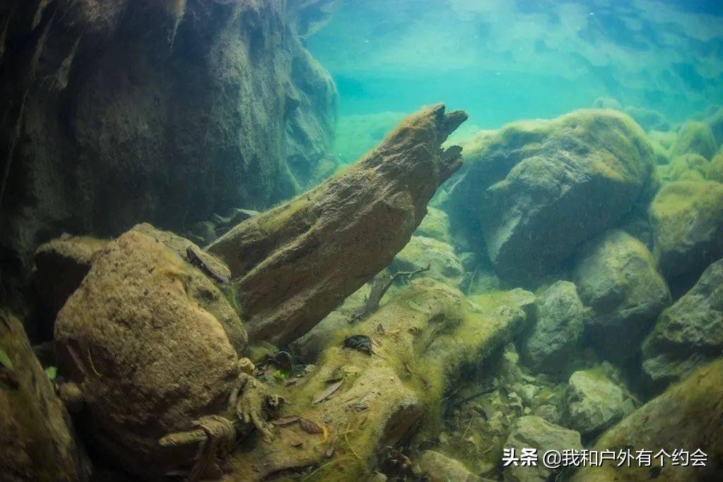 户外实录，爱好者深潜抚仙湖底，探秘古滇国古城遗址，看到什么？