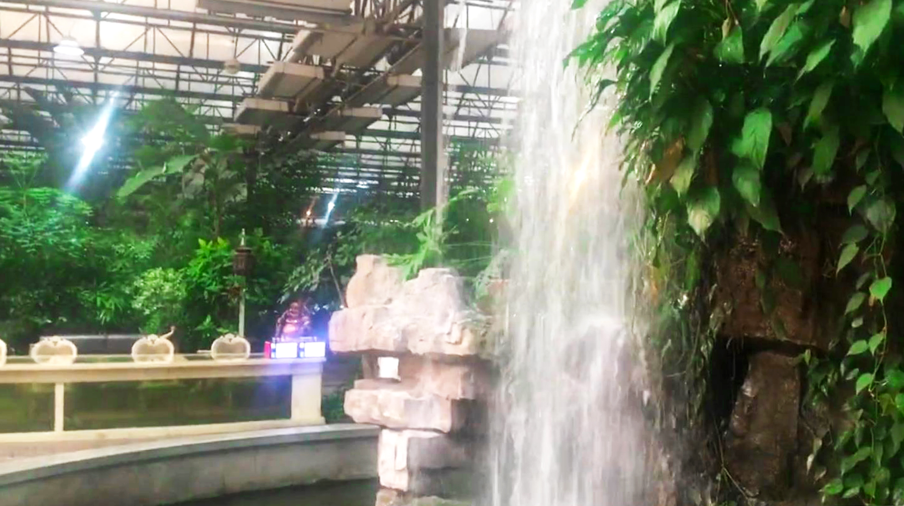 穿溜冰鞋上菜的服务员,穿溜冰鞋上菜