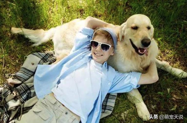 人与狗玩耍的禁忌,人与狗相处的禁忌